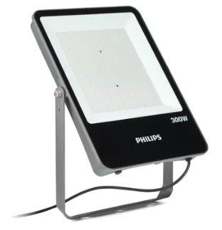Philips Ledinaire high wattage floodlight, 300