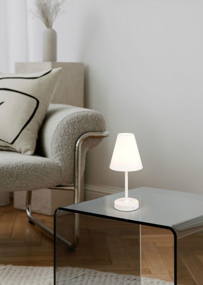 TRIO-Lighting Trio Kenny LED table lamp