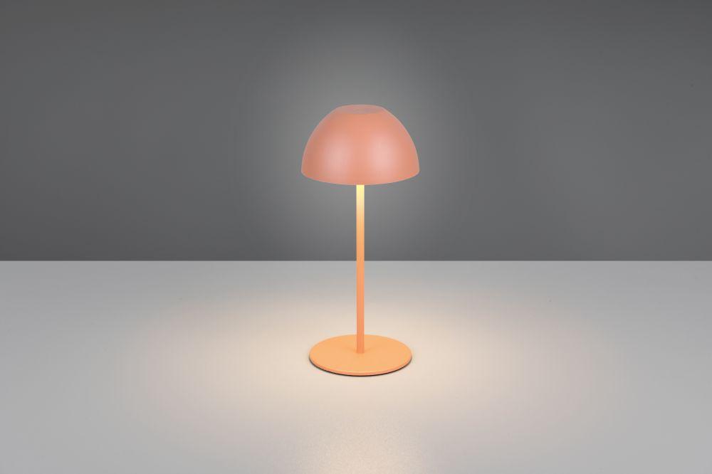 TRIO-Lighting Trio Ortiz LED table lamp