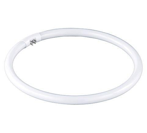 TRIO-Lighting TRIO 981-22 spuldze 22W G10q