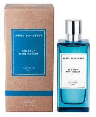Angel Schlesser Les Eaux D`Un Instant
