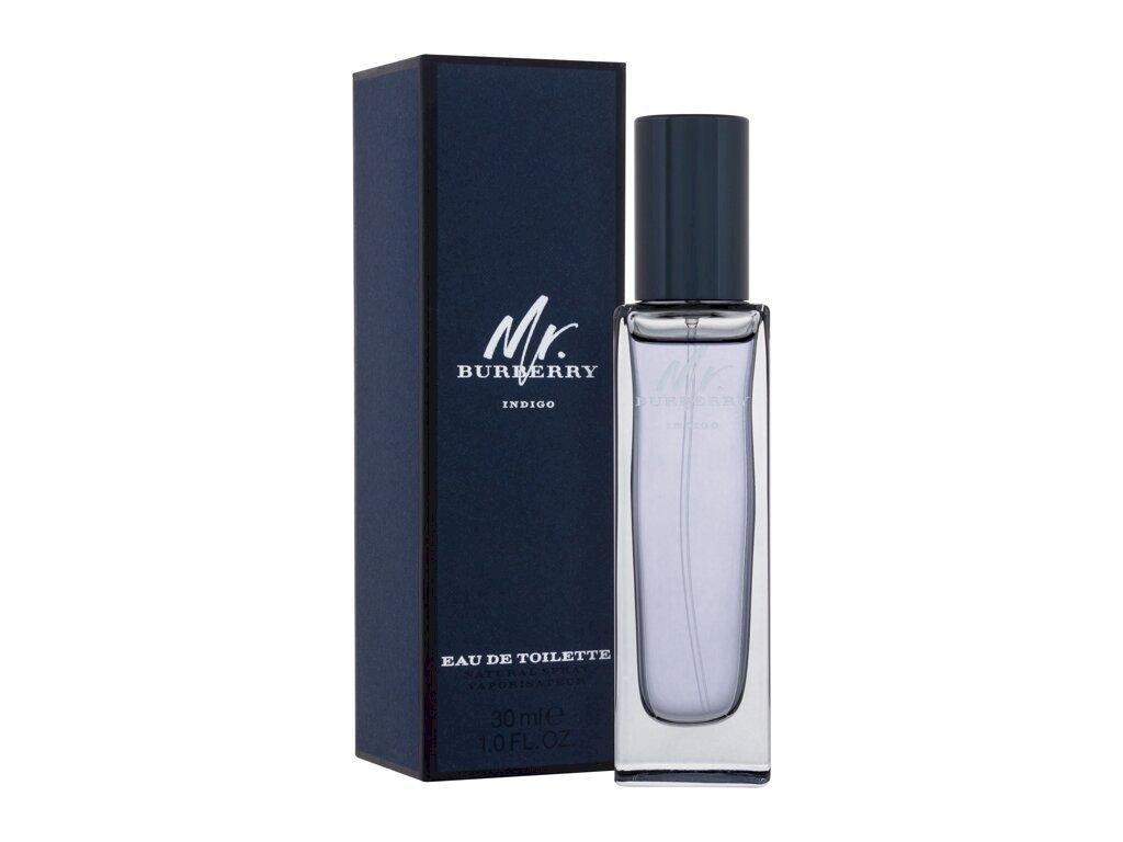 Burberry Mr. Burberry Tualetes ūdens EDT