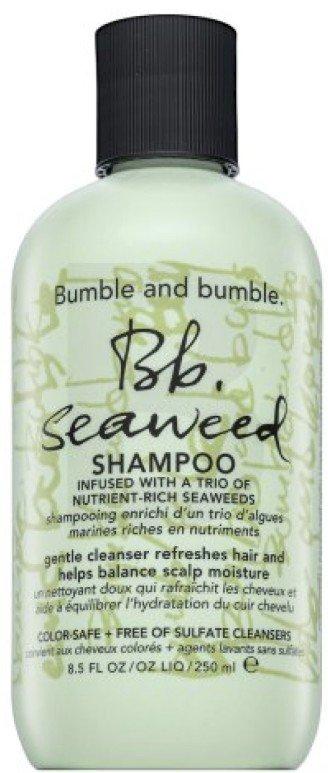 Bumble and bumble Bb. Seaweed Shampoo