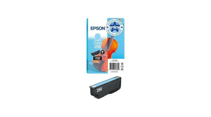 OEM Original Ink- Light Cyan EPSON