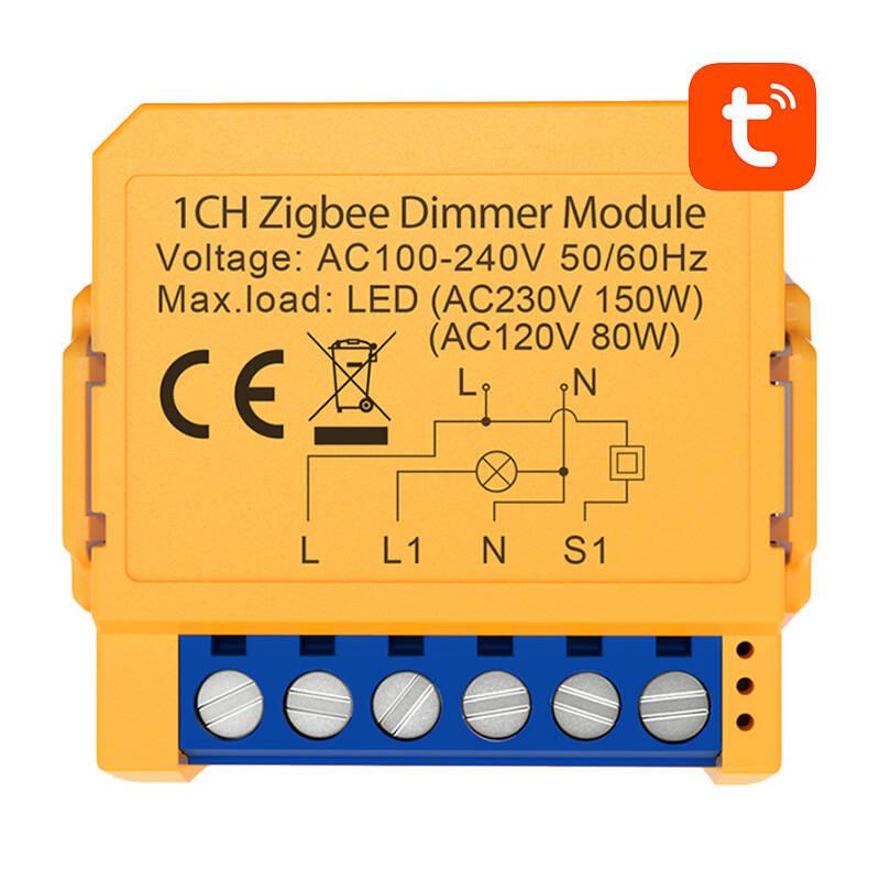 Smart socket switch ZigBee Avatto ZDMS16-1
