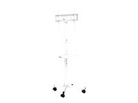 GEMBIRD TV floor stand w caster