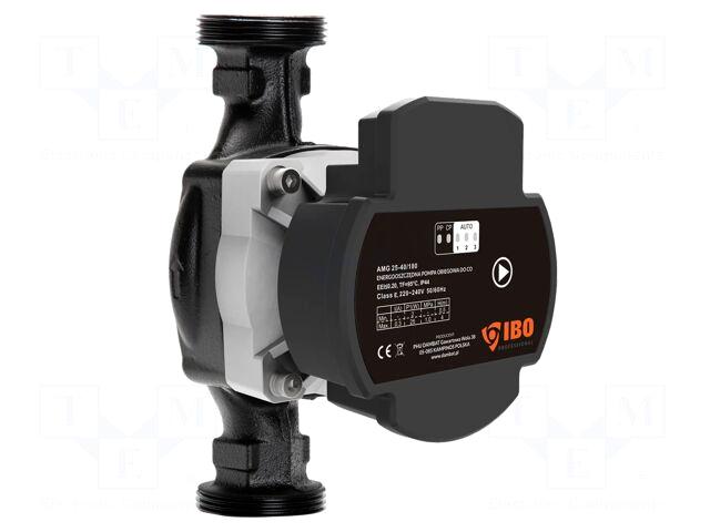 IBO Pump: circulator | AMG |