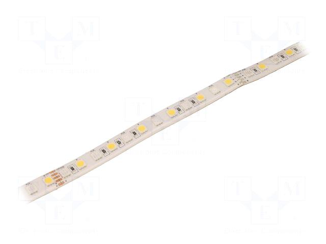 WISVA OPTOELECTRONICS LED tape | RGBW