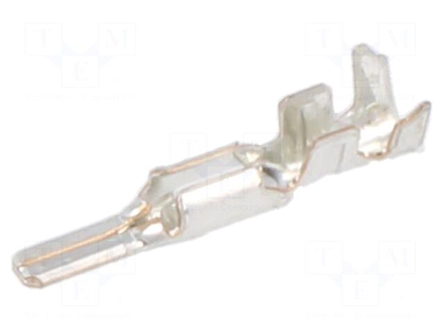 MOLEX Contact | male | Mizu-P25