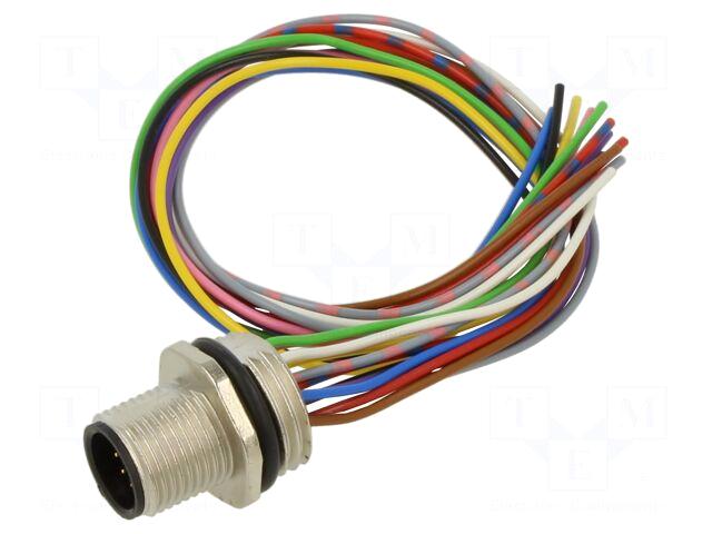 BINDER Connector: M12 | plug |