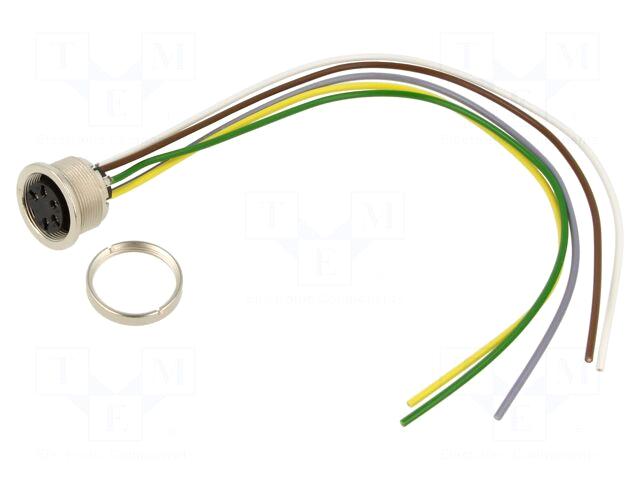 BINDER Connector: M16 | socket |
