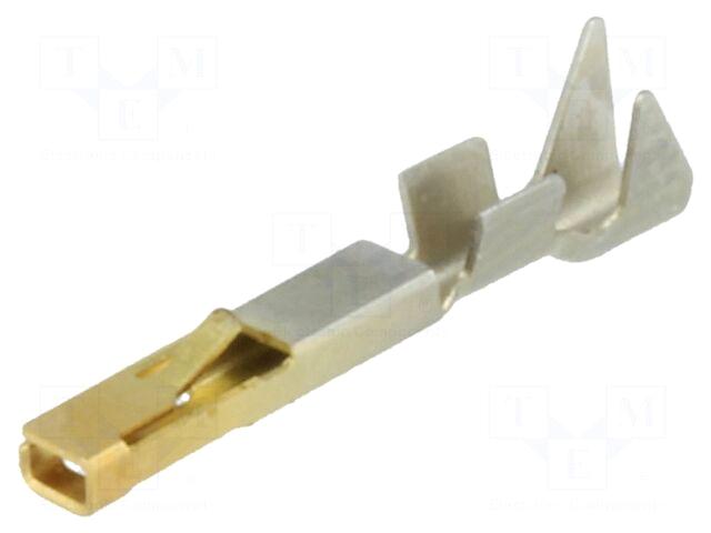 AMPHENOL LTW Contact | female |