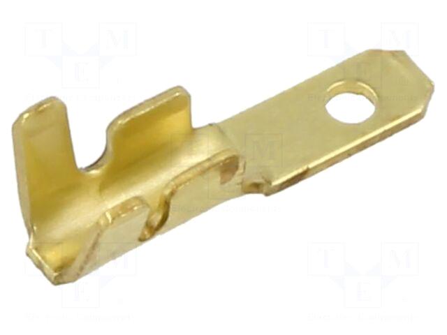 Terminal: flat | 2.8mm |