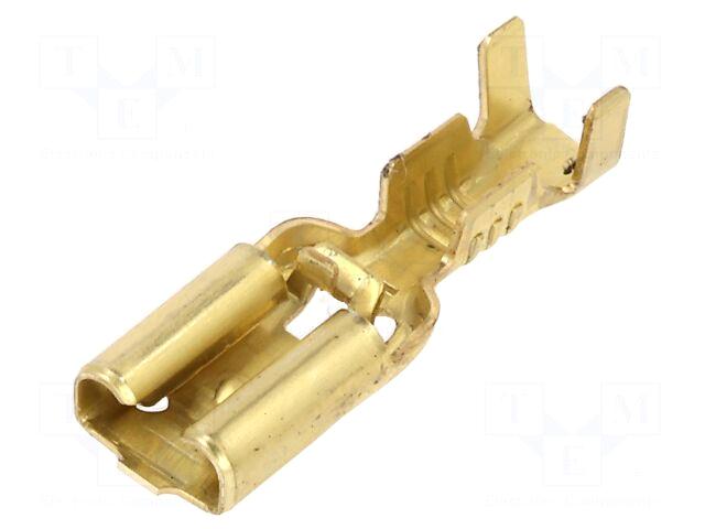 Inarca Terminal: flat | 4.8mm