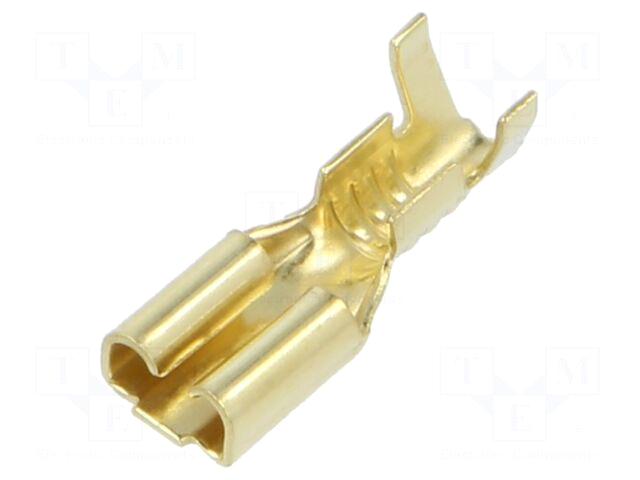 ERKO Terminal: flat | 4.8mm