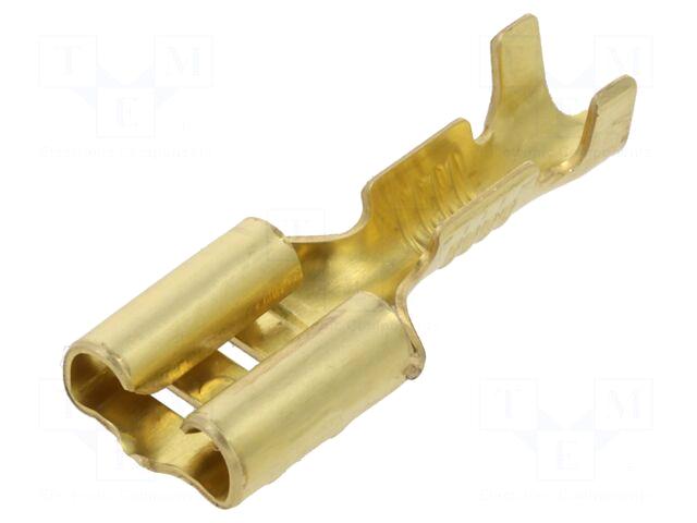 Inarca Terminal: flat | 6.3mm