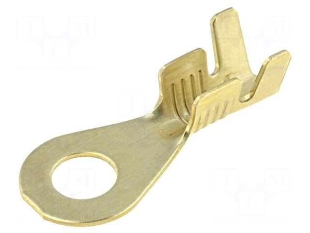 Ring terminal | M4 | 1÷2