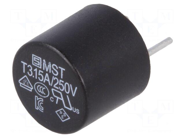 SCHURTER Fuse: fuse | TR5 |