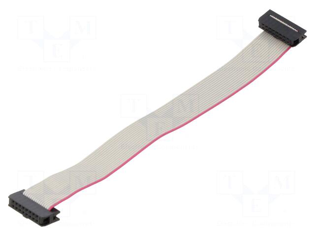 CONNFLY Ribbon cable with IDC connectors