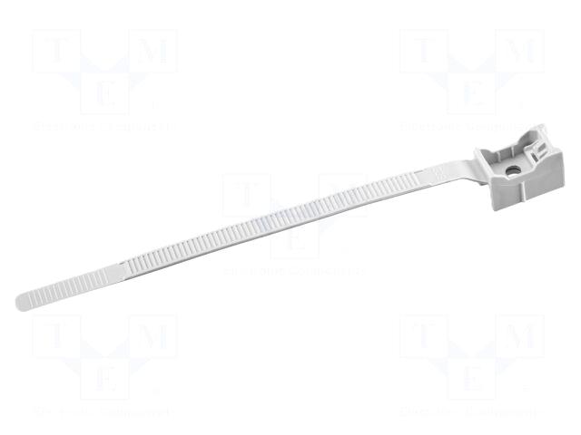GEWISS Mounting holder | polyamide |