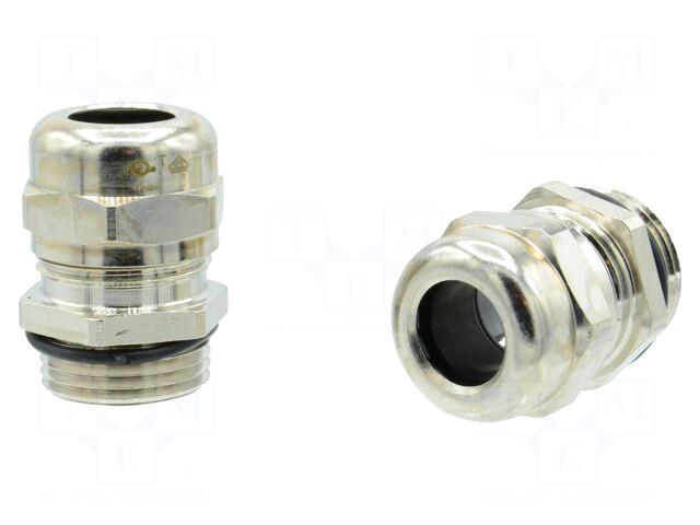 AMPHENOL Cable gland | M25 |