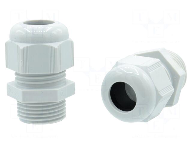 AMPHENOL Cable gland | PG29 |