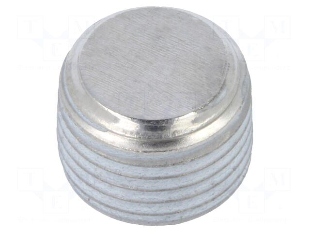 ELESA+GANTER Hexagon head screw plug |
