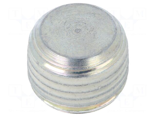 ELESA+GANTER Hexagon head screw plug |
