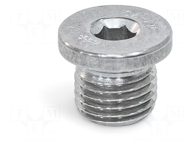ELESA+GANTER Hexagon head screw plug |