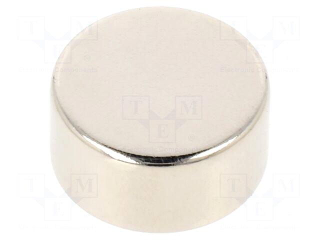 Eclipse Magnetics Magnet: permanent | NdFeB