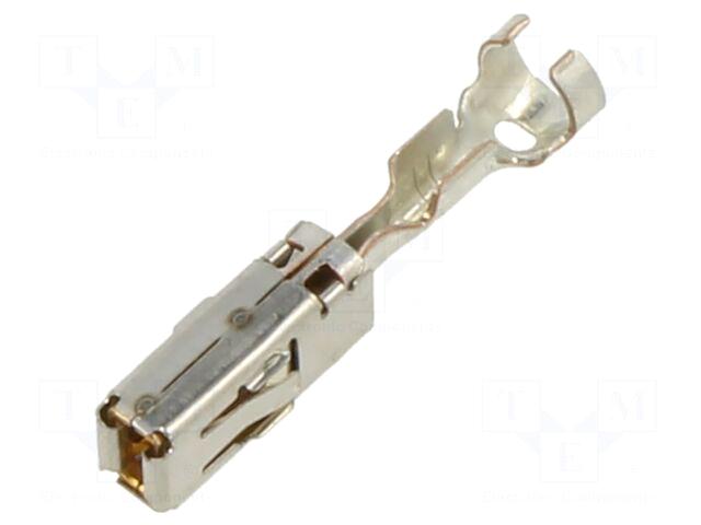 TE Connectivity Connector: automotive | socket