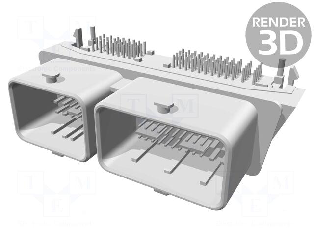 MOLEX Connector: automotive | socket |