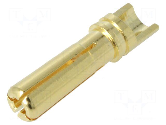 AMASS Plug | 4mm banana |