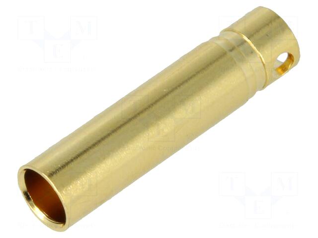 AMASS Socket | 4mm banana |