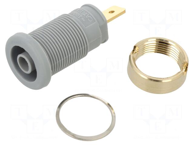 HIRSCHMANN T&M Laboratory connector: 4mm banana