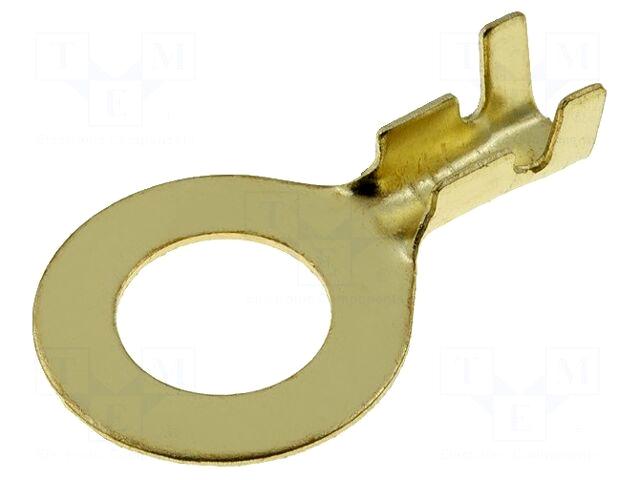 4CARMEDIA Terminal: ring | M8 |