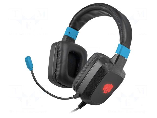 Fury Headphones with microphone | RAPTOR