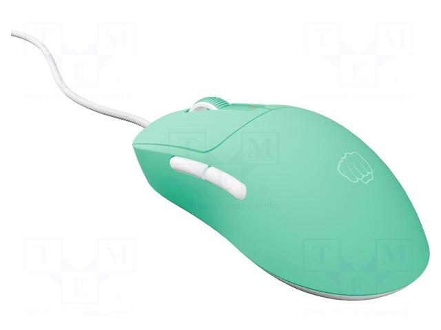 Fury Mouse | TANTO T4 |