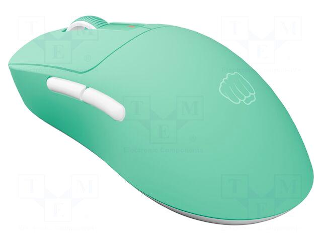 Fury Mouse | TANTO T4 |