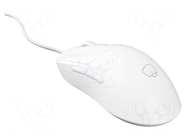 Fury Mouse | TANTO T4 |
