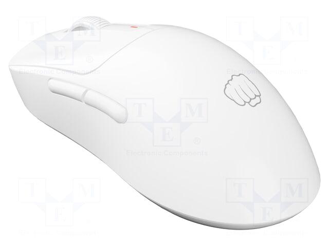Fury Mouse | TANTO T4 |