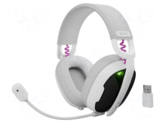 Fury Wireless headphones with microphone |