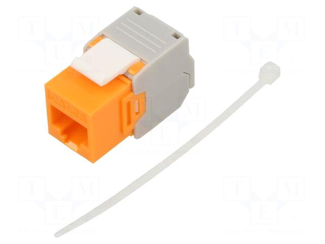 Goobay RJ45 module | Keystone |