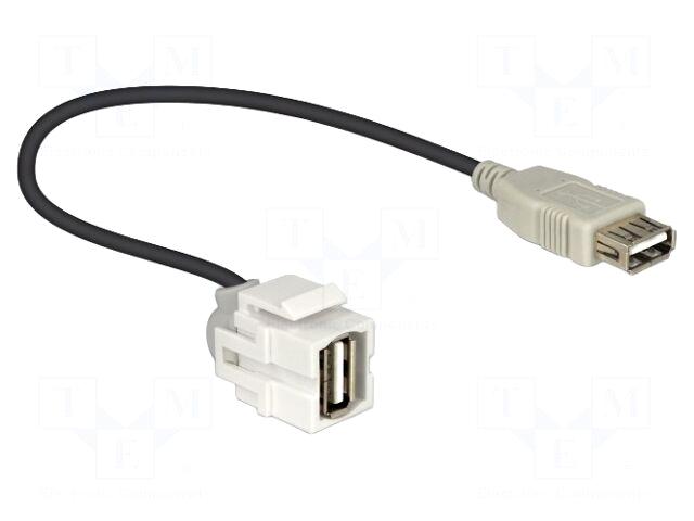 DELOCK USB module | Keystone |