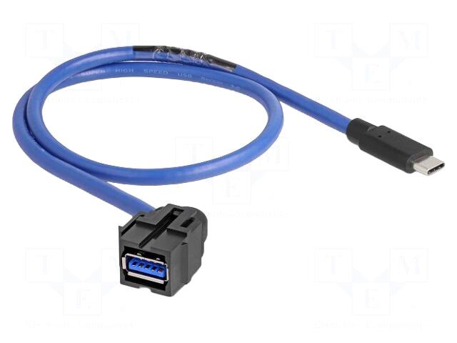DELOCK USB module | Keystone |