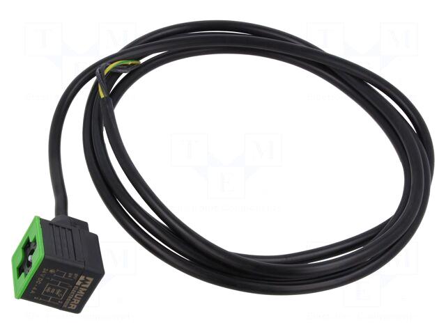 MURRELEKTRONIK Connection lead | plug |