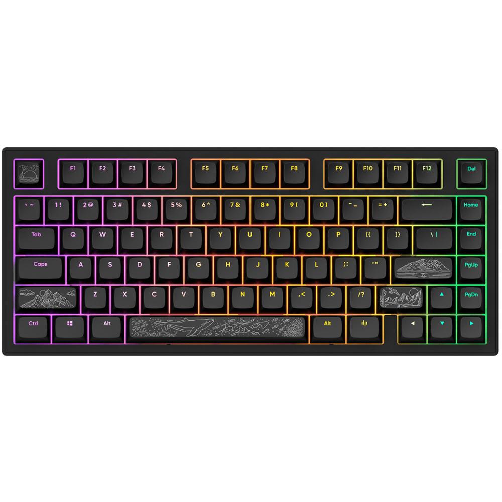 Dark Project ALU81A Terra Nostra Black
