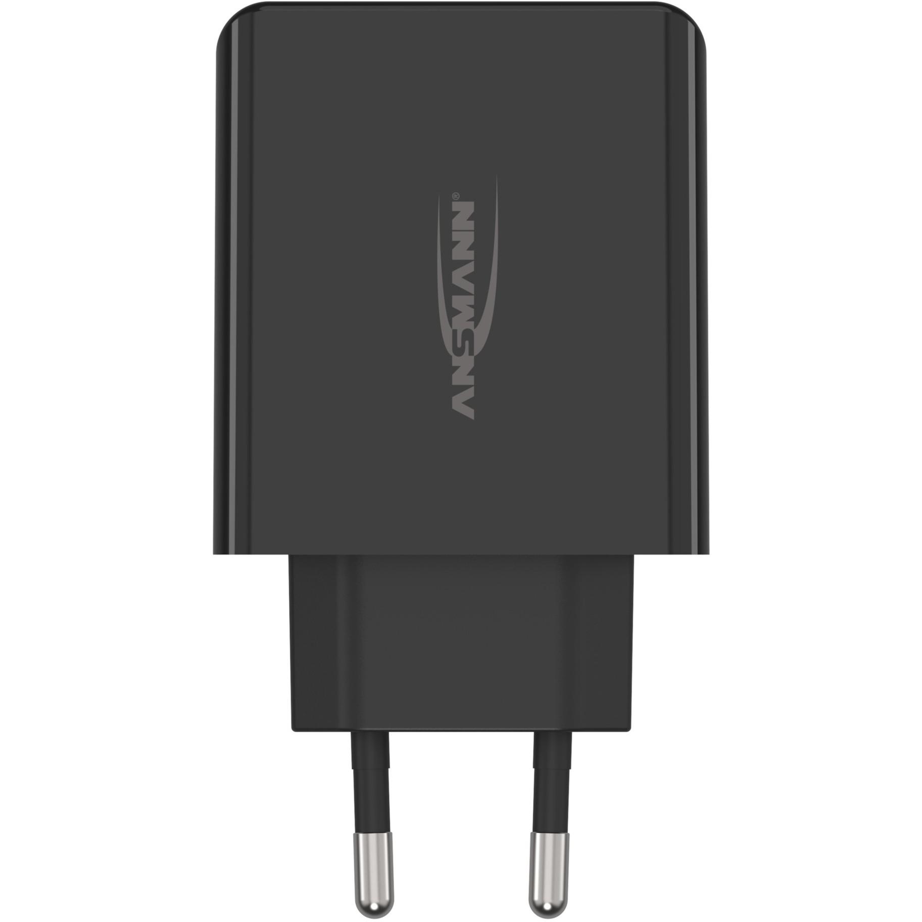 Ansmann Home Charger HC430 (black, intelligent