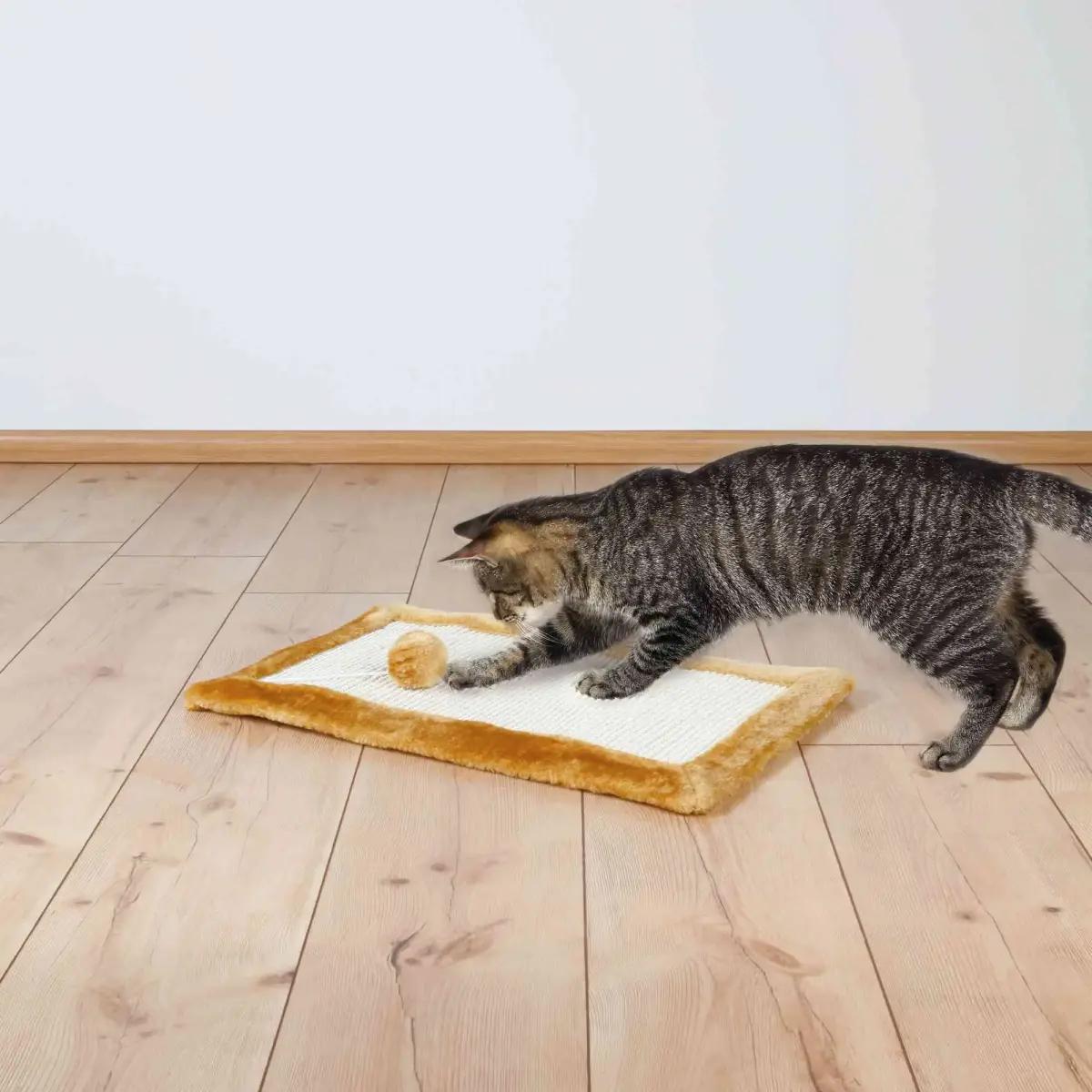 Nagu asināmais : Trixie Scratching Mat