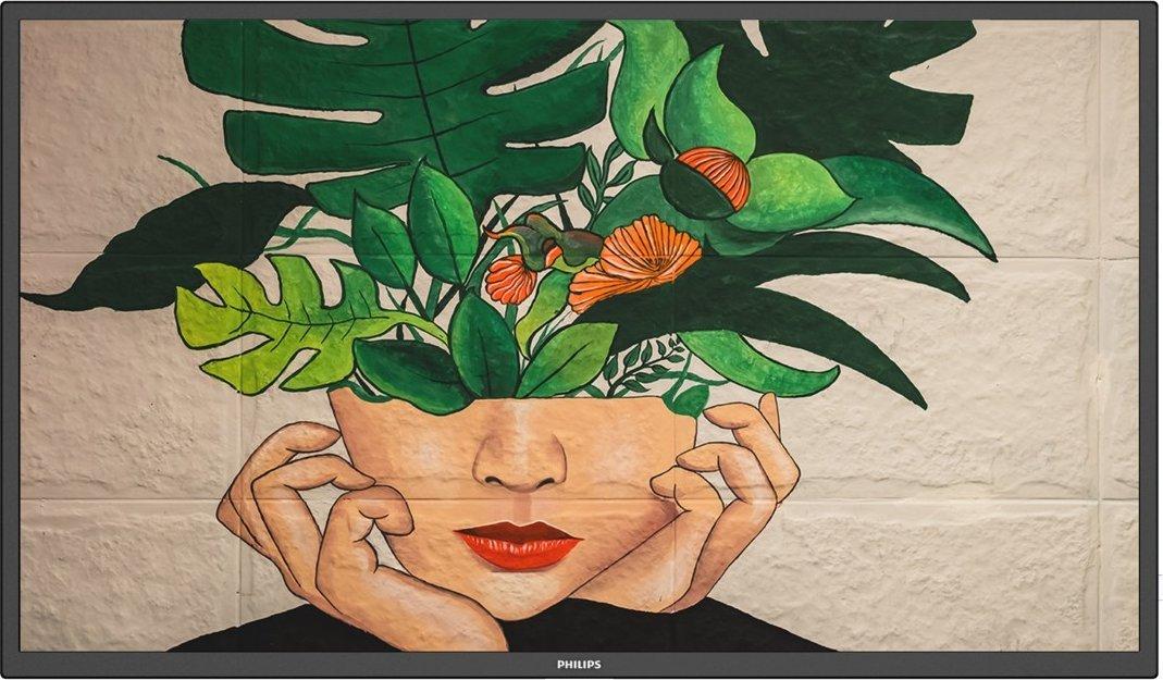 Philips Professional Displays Monitors Philips D-Line